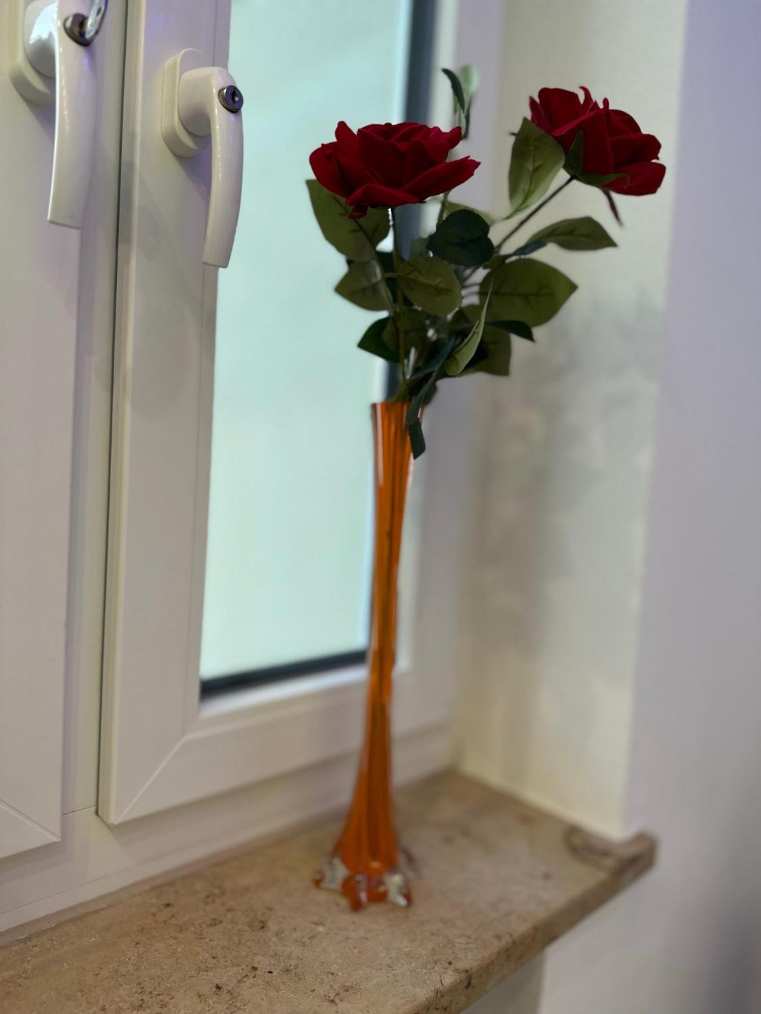 נויבורג אן דר דונאו Modern Apartments Neuburg P - Top - 2 Zimmer, Komfort, Balkon, Wi-Fi, Smart Tv, Grosse Dusche, Kueche מראה חיצוני תמונה